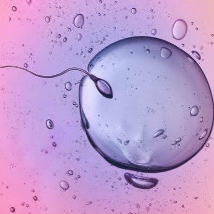 in-vitro-fertilisation-ivf1