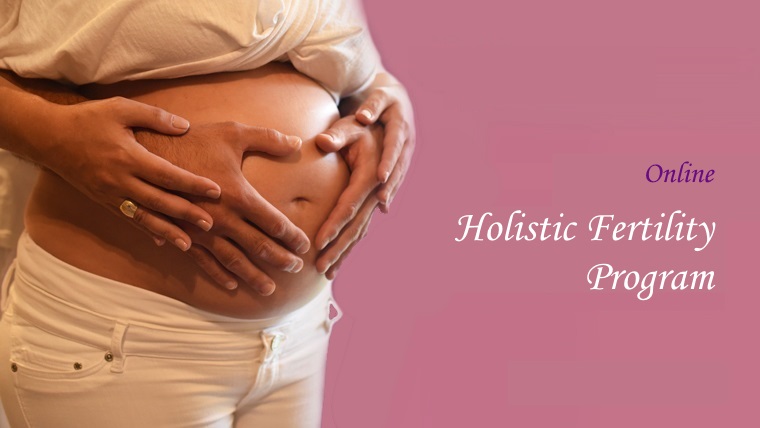 online Holistic Fertility Program